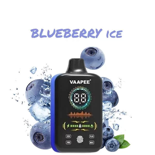 VaaPee X 30K Puff Of Joy