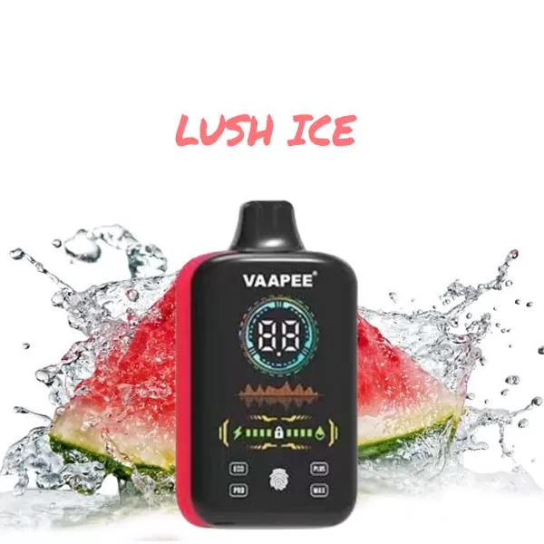 VaaPee X 30K Puff Of Joy