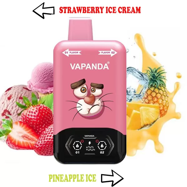 Panda Dual Flavor Switch 40K Puff Of Joy